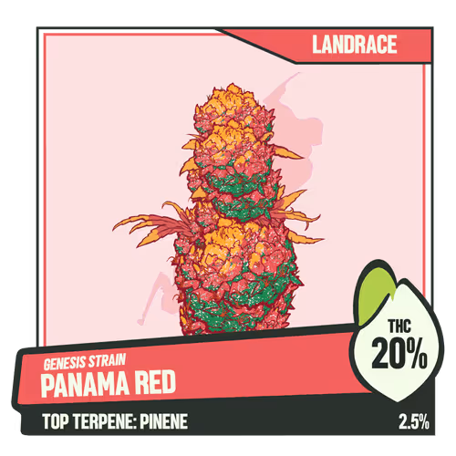 Weedgang Game Strain