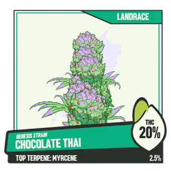 WEEDGANG.GAME - GENESIS STRAIN