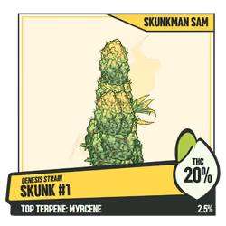 WEEDGANG.GAME - GENESIS STRAIN