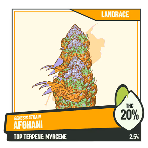 Weedgang Game Strain