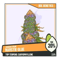 WEEDGANG.GAME - GENESIS STRAIN