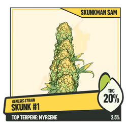 WEEDGANG.GAME - GENESIS STRAIN