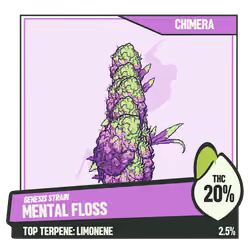 WEEDGANG.GAME - GENESIS STRAIN