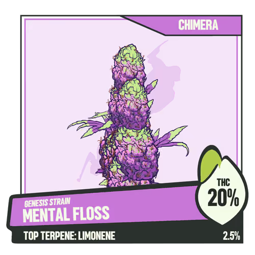 WEEDGANG.GAME - GENESIS STRAIN