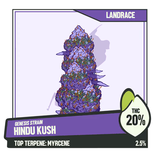 WEEDGANG.GAME - GENESIS STRAIN
