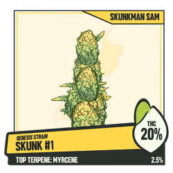 WEEDGANG.GAME - GENESIS STRAIN