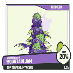 WEEDGANG.GAME - GENESIS STRAIN