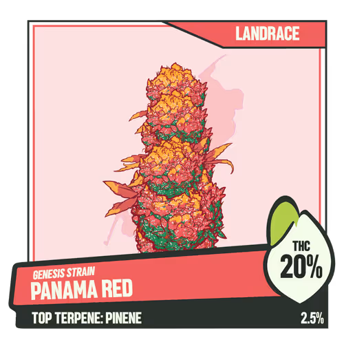 WEEDGANG.GAME - GENESIS STRAIN
