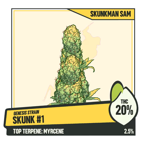 WEEDGANG.GAME - GENESIS STRAIN