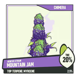 WEEDGANG.GAME - GENESIS STRAIN