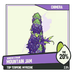 WEEDGANG.GAME - GENESIS STRAIN