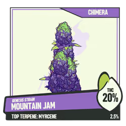 WEEDGANG.GAME - GENESIS STRAIN