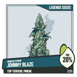 WEEDGANG.GAME - GENESIS STRAIN