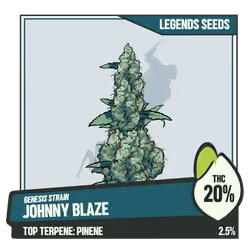 WEEDGANG.GAME - GENESIS STRAIN