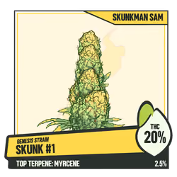 WEEDGANG.GAME - GENESIS STRAIN