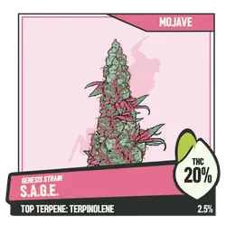 WEEDGANG.GAME - GENESIS STRAIN