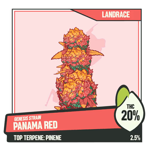 WEEDGANG.GAME - GENESIS STRAIN