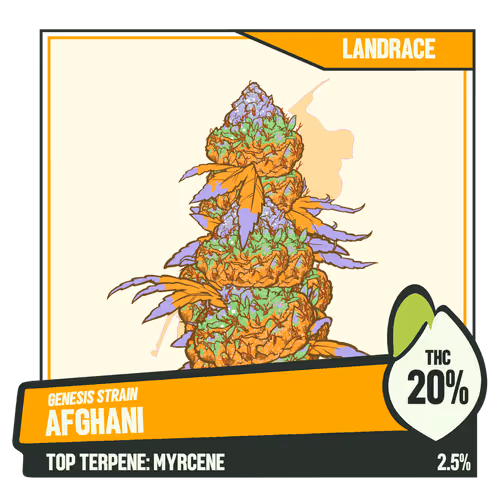 Weedgang Game Strain