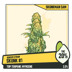 WEEDGANG.GAME - GENESIS STRAIN