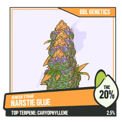 WEEDGANG.GAME - GENESIS STRAIN