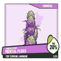 WEEDGANG.GAME - GENESIS STRAIN