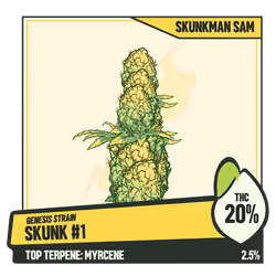 WEEDGANG.GAME - GENESIS STRAIN