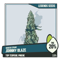 WEEDGANG.GAME - GENESIS STRAIN