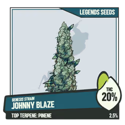 WEEDGANG.GAME - GENESIS STRAIN