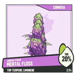 WEEDGANG.GAME - GENESIS STRAIN