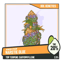WEEDGANG.GAME - GENESIS STRAIN
