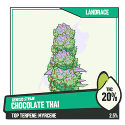 WEEDGANG.GAME - GENESIS STRAIN