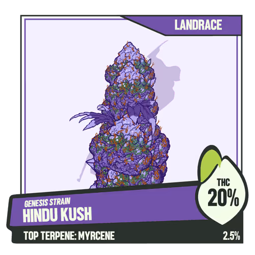WEEDGANG.GAME - GENESIS STRAIN