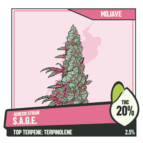 Weedgang Game Strain