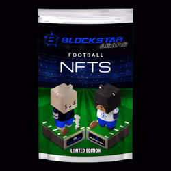 BlockStar Team Bears