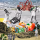 Surreal Destinations Editions 