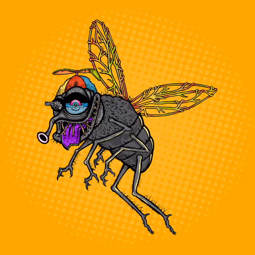 Official Funky Flies