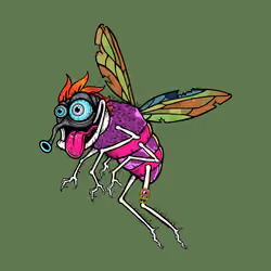 Funky Fly #4760