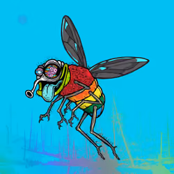 Funky Fly #206