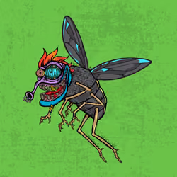 Funky Fly #3445