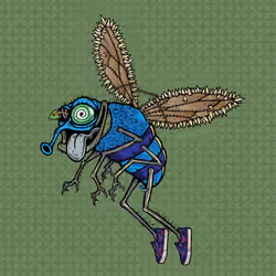 Funky Fly #2369