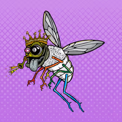 Funky Fly #4497