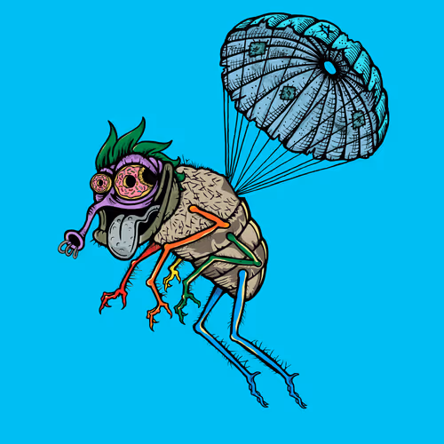 Official Funky Flies
