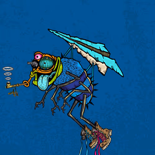 Official Funky Flies