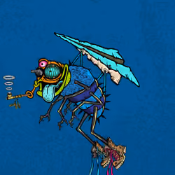 Funky Fly #4657