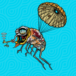 Funky Fly #4227