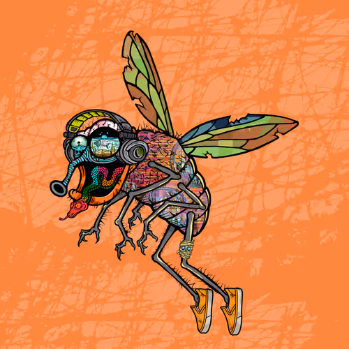 Official Funky Flies