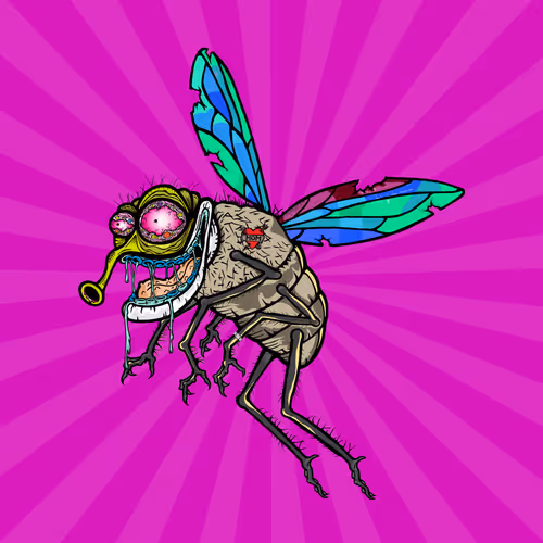 Official Funky Flies