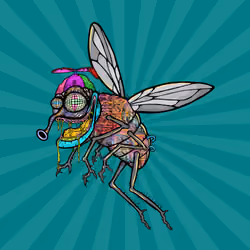 Funky Fly #4377