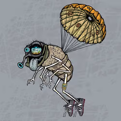Funky Fly #2016