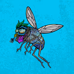 Funky Fly #2700